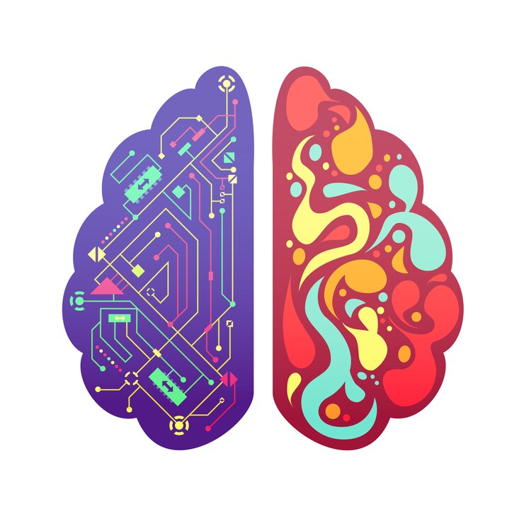 Unraveling the Complexities of Human Memory Functions